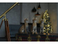 serval-savannah-und-karakalkatzchen-small-4