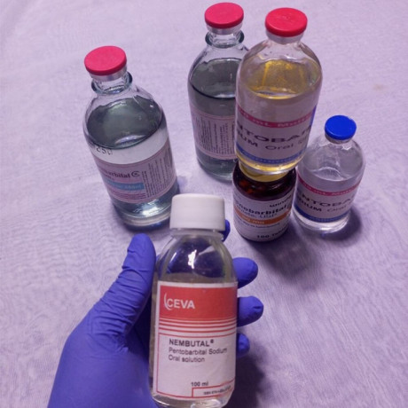 buy-nembutal-pentobarbital-sodium-online-whatsapp44-7397-620325buy-nembutal-pentobarbital-ontario-canada-big-0