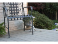 scimmie-cappuccine-per-una-buona-casa-small-3