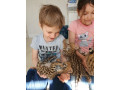 pisoi-serval-savannah-si-caracal-small-4