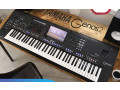 korg-pa5x-korg-pa4x-korg-pa4x-mg2-edition-korg-pa-1000-yamaha-genos2-76-key-yamaha-genos-76-key-yamaha-tyros5-yamaha-psr-sx900-small-4