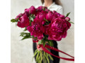pentru-cea-mai-frumoasa-zi-din-viata-ta-flori-care-spun-povestea-iubirii-small-0