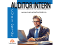 curs-online-autorizat-auditor-intern-small-0