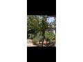 casa-de-vanzare-in-jilavele-ialomita-small-0