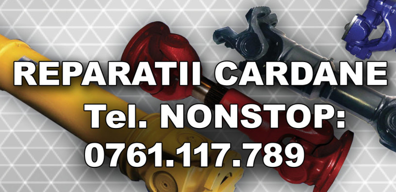reparatii-cardane-si-coloane-volan-big-1