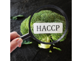 curs-online-autorizat-managementul-sigurantei-alimentare-haccp-si-iso-22000-small-0