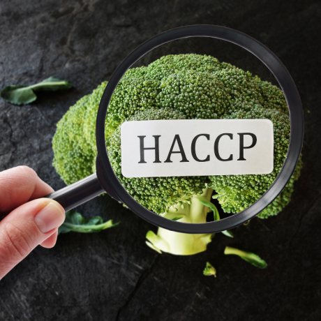 curs-online-autorizat-managementul-sigurantei-alimentare-haccp-si-iso-22000-big-0