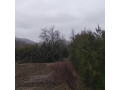 teren-intravilan-miroslava-small-0