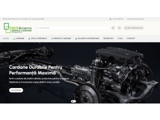 Mezo Automotive Service Cardane