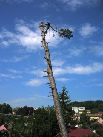 firma-alpinism-utilitar-cluj-reparatii-si-montaj-acoperisuri-big-2