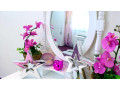 model-online-pentru-studio-profesional-small-4