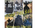 fotogravura-monumente-funerare-cruci-granit-negru-marmura-neagra-small-1