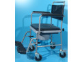 scaun-cu-wc-invacare-small-0
