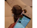 maimute-marmoset-superbe-disponibile-small-0