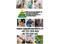 curs-tatuator-small-2