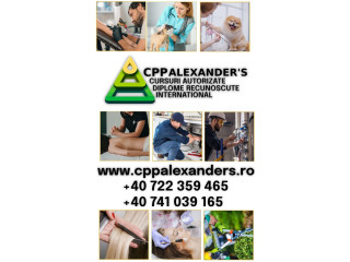 Curs electrician in constructii
