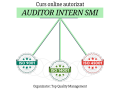 curs-online-autorizat-auditor-intern-smi-small-0