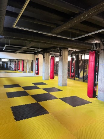 tatami-puzzle-pentru-sali-de-fitness-si-sali-de-sport-big-0
