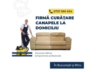 Curatare profesionala canapele