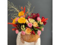 flori-de-toamna-si-plante-decorative-pentru-acasa-small-0