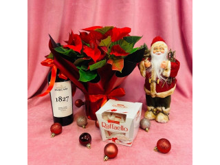 Transformă-ți casa într-un colț de sărbătoare cu OkFlora