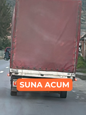servicii-de-transport-si-mutari-adaptate-nevoilor-tale-big-0