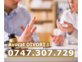 avocat-dreptul-familiei-small-0