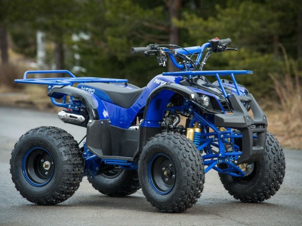 atv-125cc-nitro-grizzly-deluxe-semiautomatroti-de-8-big-3