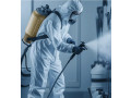 ddd-biodera-ofera-servicii-profesionale-dezinsectie-dezinfectie-deratizare-small-0