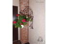 suport-de-perete-pentru-floare-small-0