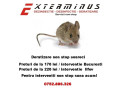 deratizare-non-stop-bucuresti-ilfov-small-1