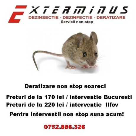 deratizare-non-stop-bucuresti-ilfov-big-1
