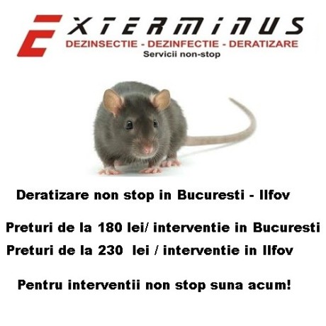 deratizare-non-stop-bucuresti-ilfov-big-0