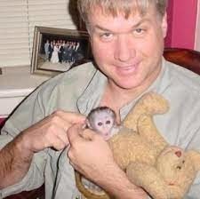 minunata-maimuta-capucina-minunata-pentru-adoptie-big-0