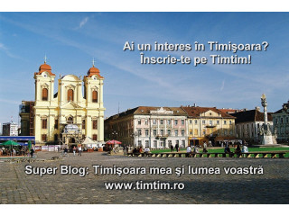 Super blog din Timisoara cu director gratuit de promovare