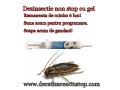deratizare-dezinsectie-dezinfectie-non-stop-small-2