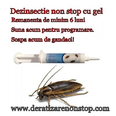 deratizare-dezinsectie-dezinfectie-non-stop-big-2