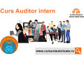curs-online-auditor-intern-small-0