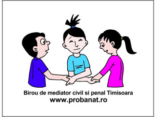 Mediator Timisoara spete civile si penale