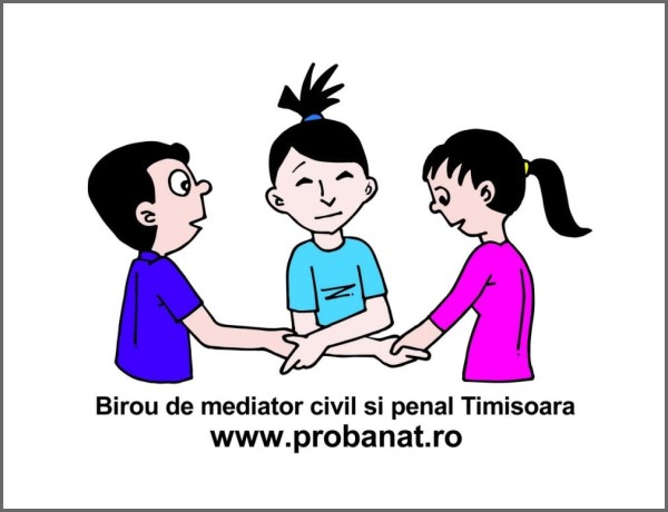 mediator-timisoara-spete-civile-si-penale-big-0