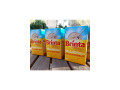 import-olanda-cereale-integrale-brinta-total-blue-small-2