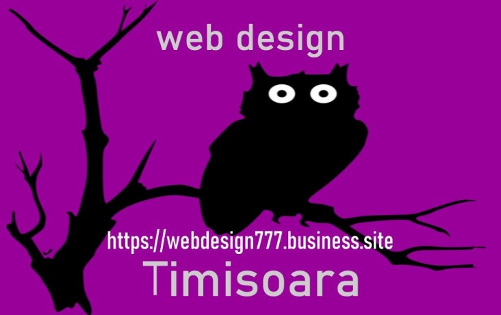 web-design-cu-freelancer-din-timisoara-in-wordpress-si-html-big-1