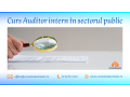 curs-online-autorizat-auditor-intern-in-sectorul-public-small-0