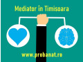 mediator-din-timisoara-intelegere-in-loc-de-proces-small-0