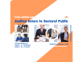 curs-online-autorizat-auditor-intern-in-sectorul-public-small-0