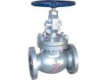 globe-valves-suppliers-in-kolkata-small-0