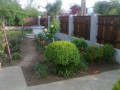 casa-cu-teren-de-vanzare-in-jilavele-judetul-ialomita-small-0