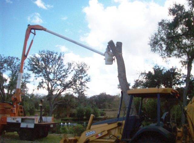 defrisari-terenuri-cu-utilaje-specializate