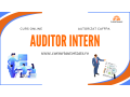 auditor-intern-curs-online-autorizat-small-0